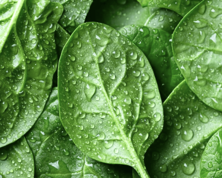 23 Produce Staples I Buy Every Week Without Even Checking the List
