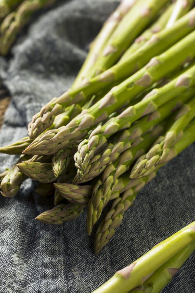 Asparagus spears bundled together