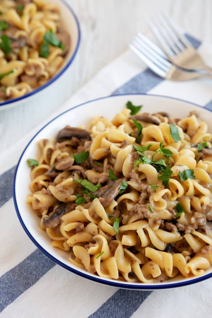 Beef stroganoff over egg noodles