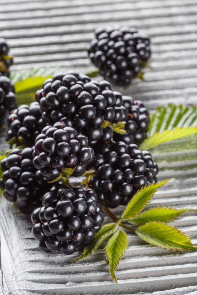 Fresh blackberries with green leaves nearby
