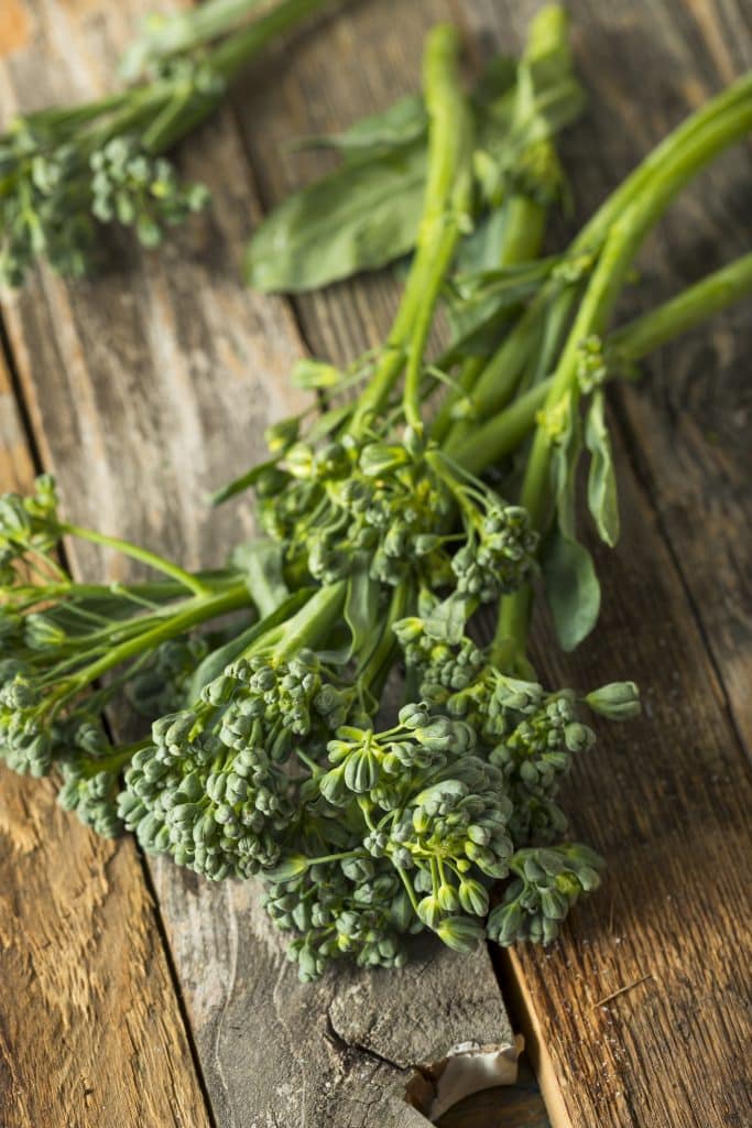 Raw organic broccolini stalks