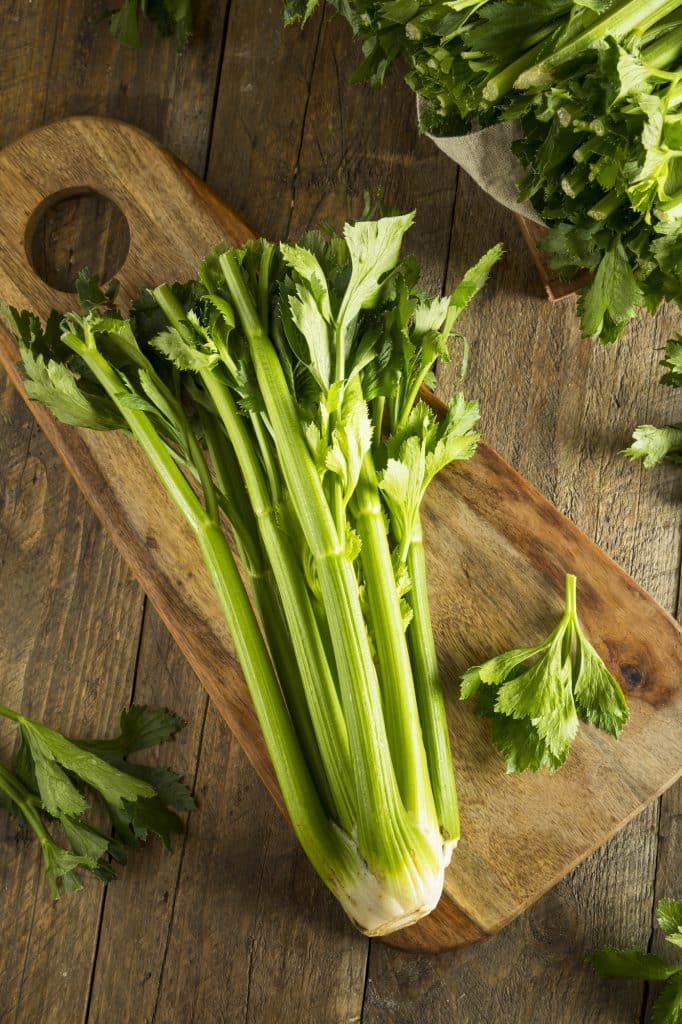 A bunch of celery stalks with slightly limp leaves