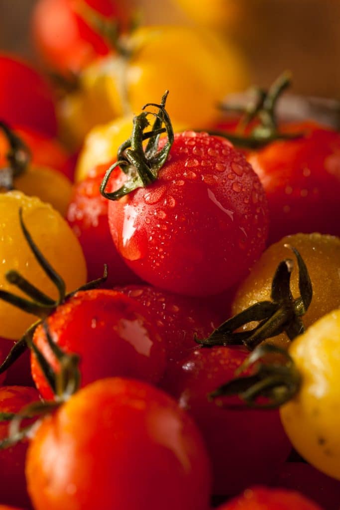 Red and yellow cherry tomatoes with water droplets