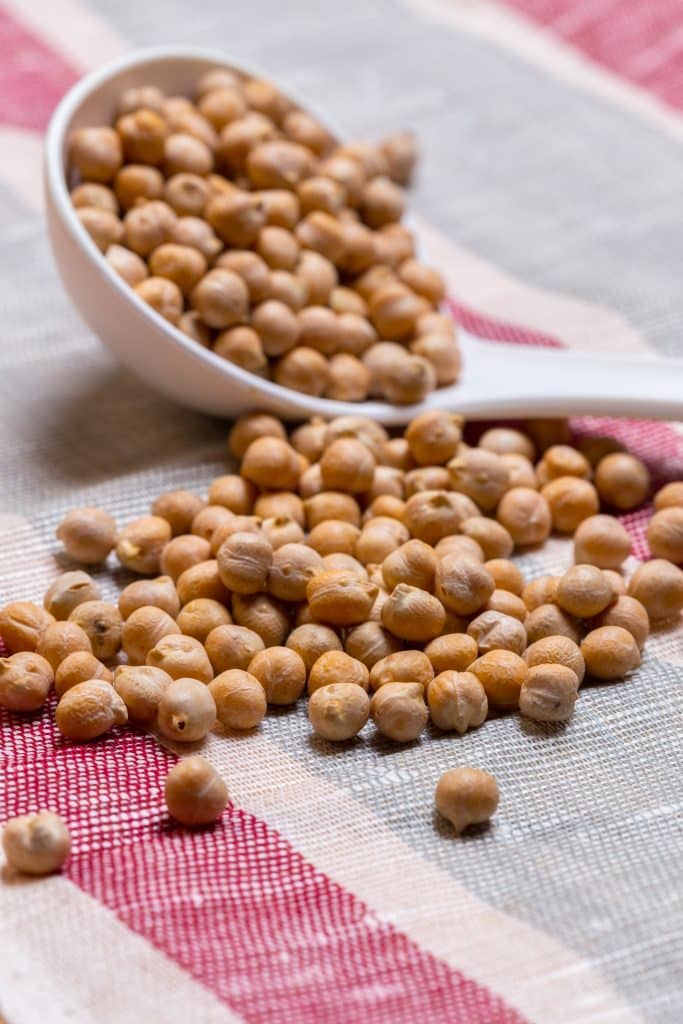 Dried chickpeas spilling from a spoon