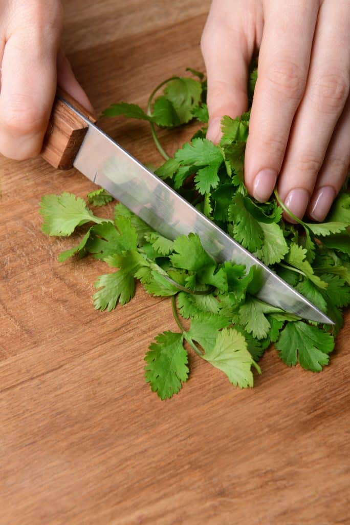 Fresh cilantro sprigs in a loose pile