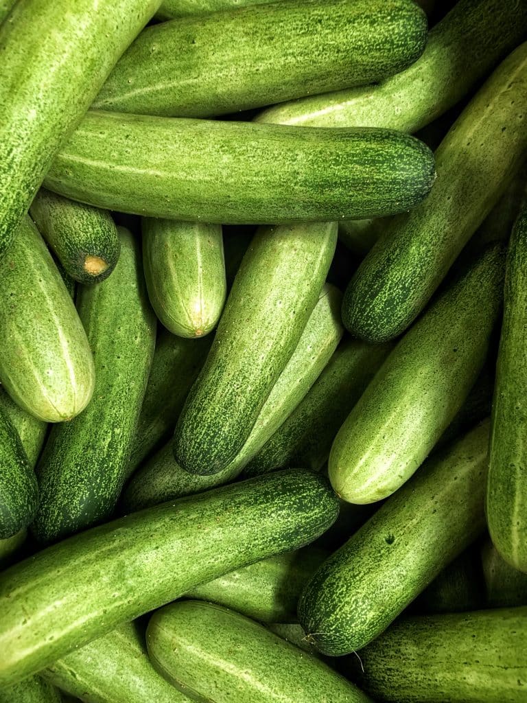 A pile of fresh green cucumbers