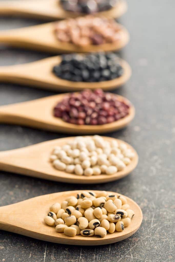 Assorted dried beans scooped into wooden spoons