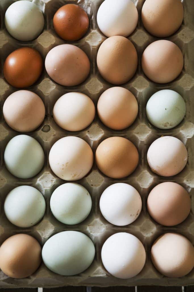 Colorful eggs in an egg carton