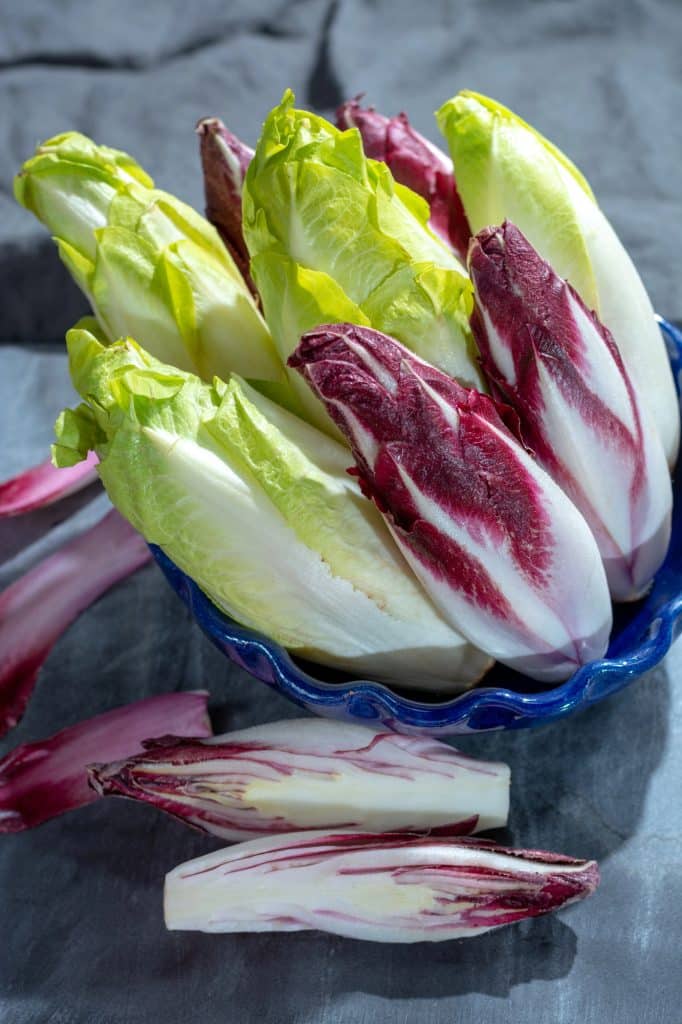 Fresh endive heads with pale leaves