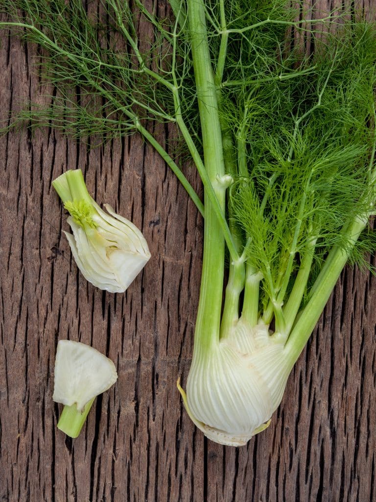Whole fennel bulb with fronds attached
