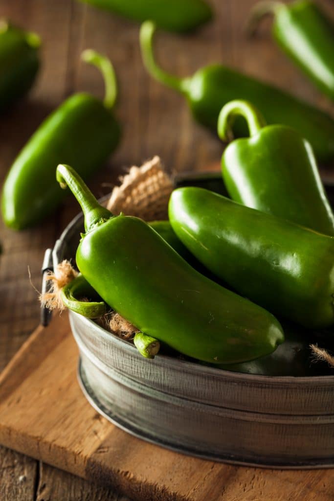 Fresh green jalapeno peppers