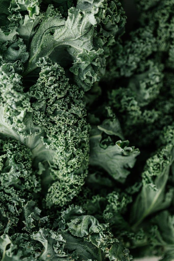 Close-up of fresh curly kale leaves