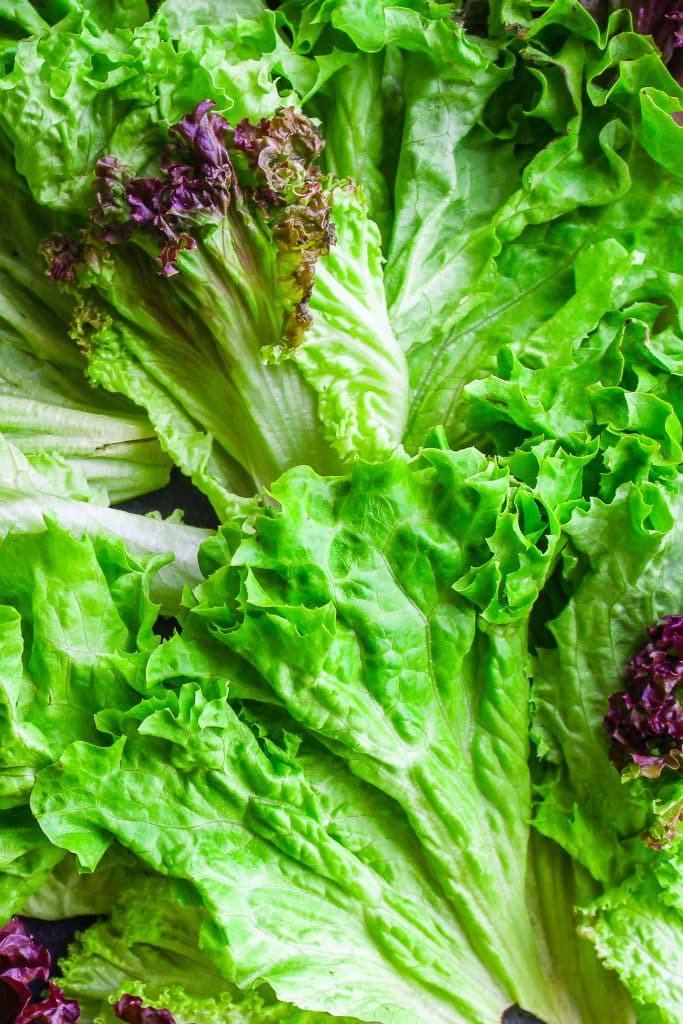 Loose green lettuce leaves ready for washing