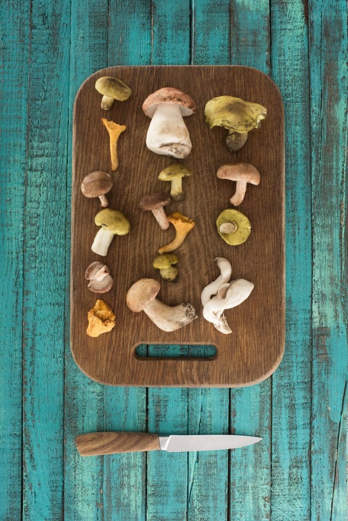A pile of assorted fresh mushrooms