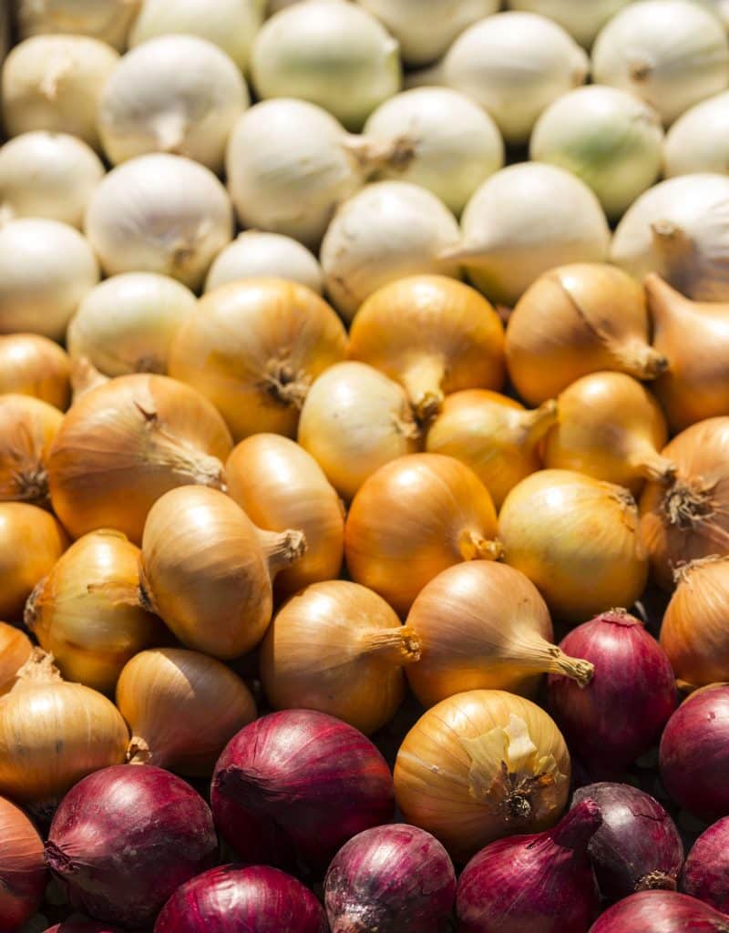 Yellow onions gathered on a surface