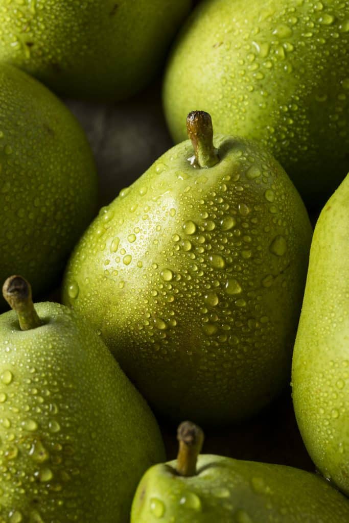 Green pears on a plain background