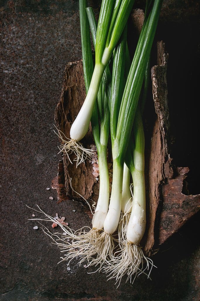 A bundle of fresh scallions
