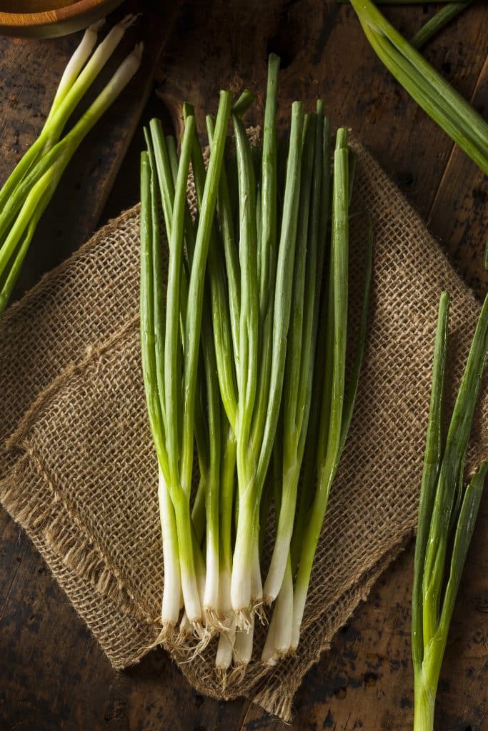 Bundle of fresh green scallions