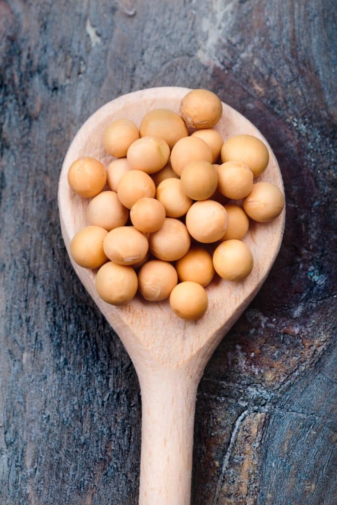 Dried soybeans in a wooden spoon