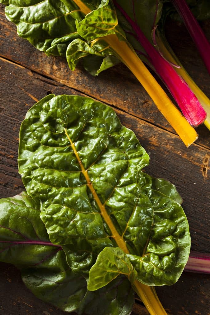 Swiss chard leaves with colorful stems