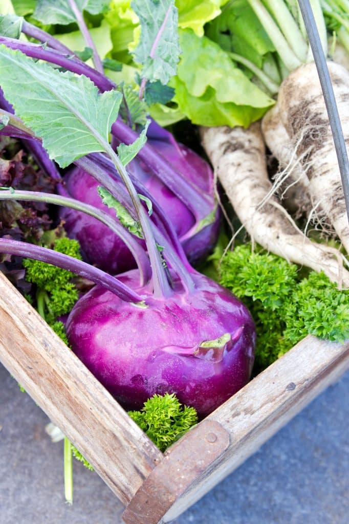 Leafy turnip greens with stems