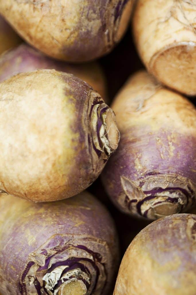 Close-up view of whole turnips
