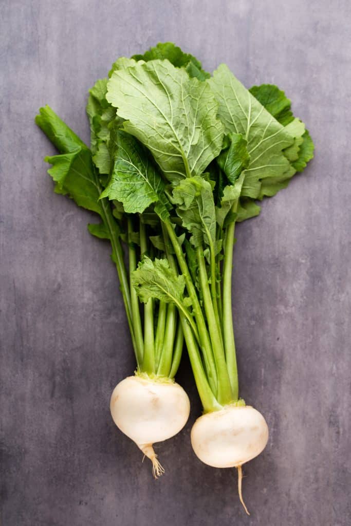 Two turnips with fresh green leaves attached